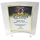 �o�C�p�[(VIPER)��t�����с@2005�\��